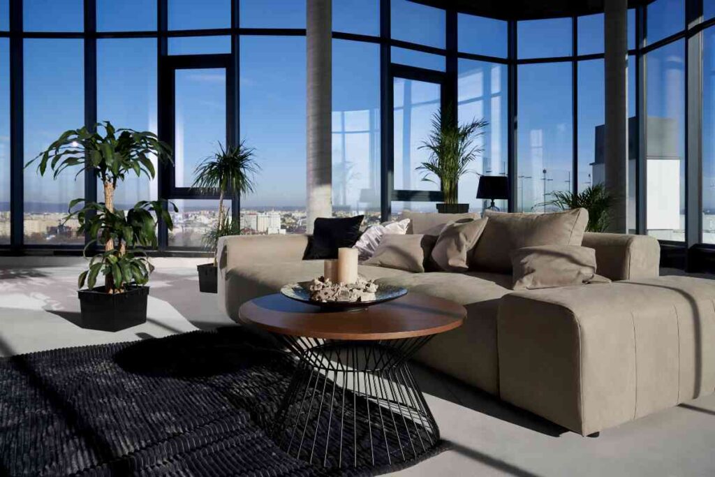 Modern lifestyle project